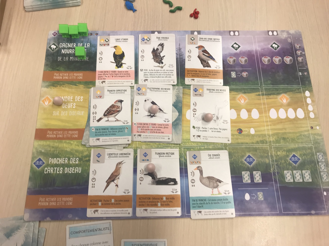 Wingspan – Extension Europe – Vindjeu